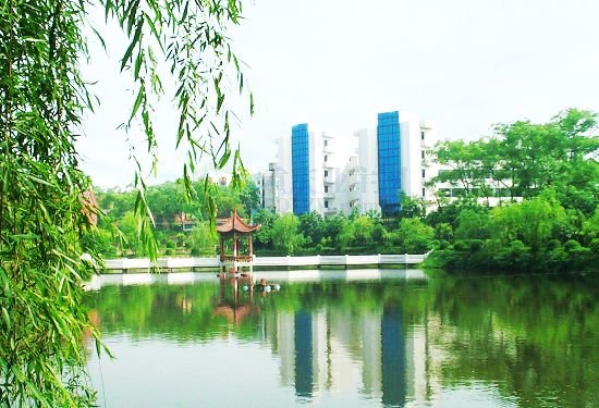 重庆市清华中学校