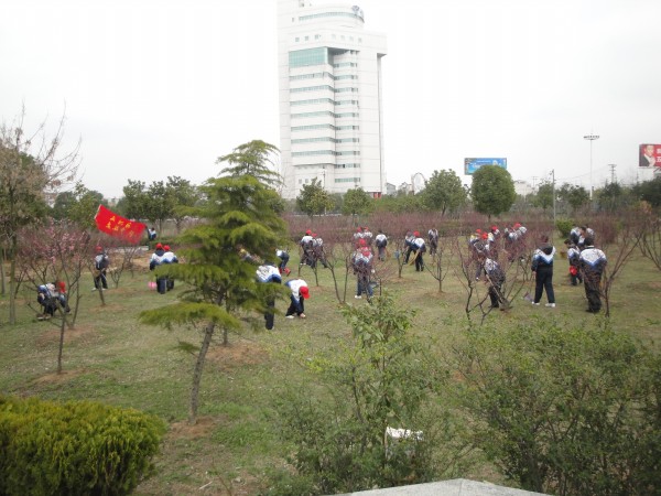 武汉市新洲区实验中学