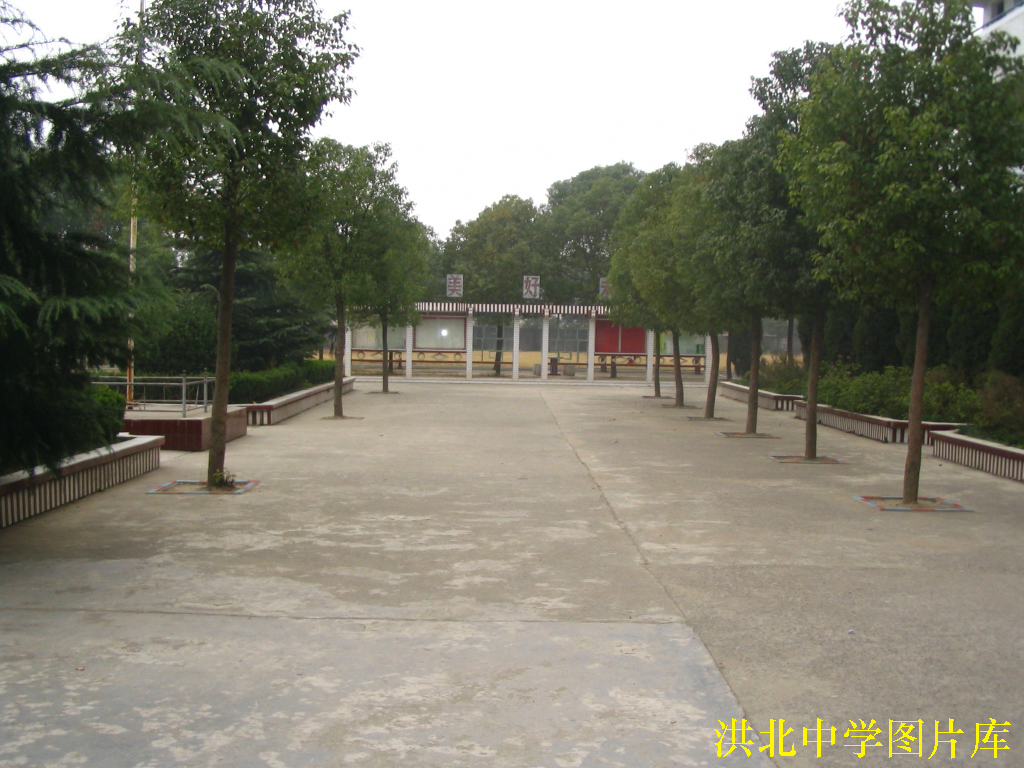武汉市蔡甸区洪北中学
